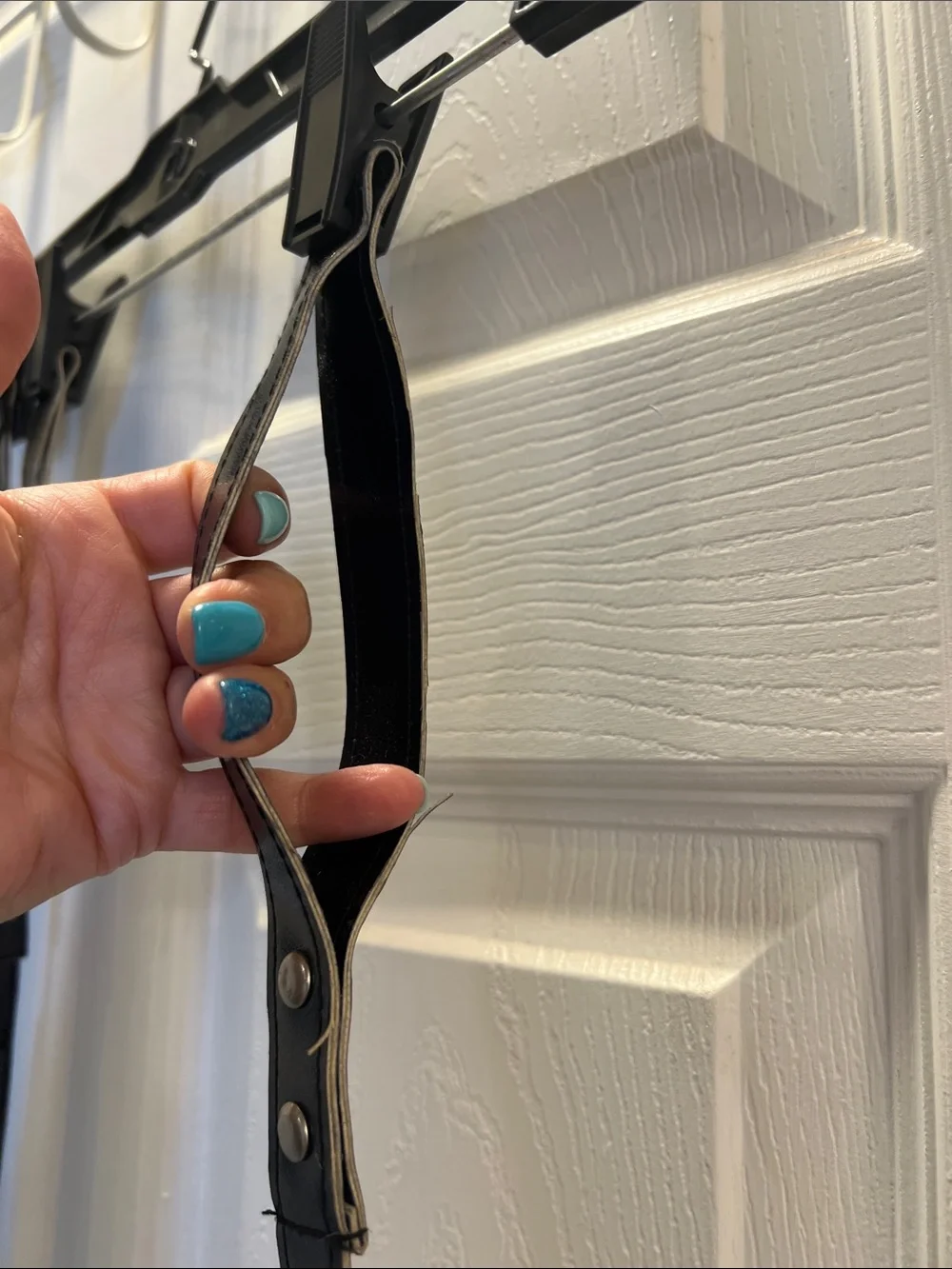 Dog Leashes that can be Personalized